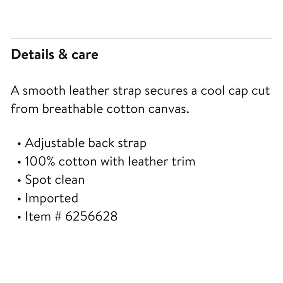 All Saints Ramskull Baseball Cap - Picture 5 of 5